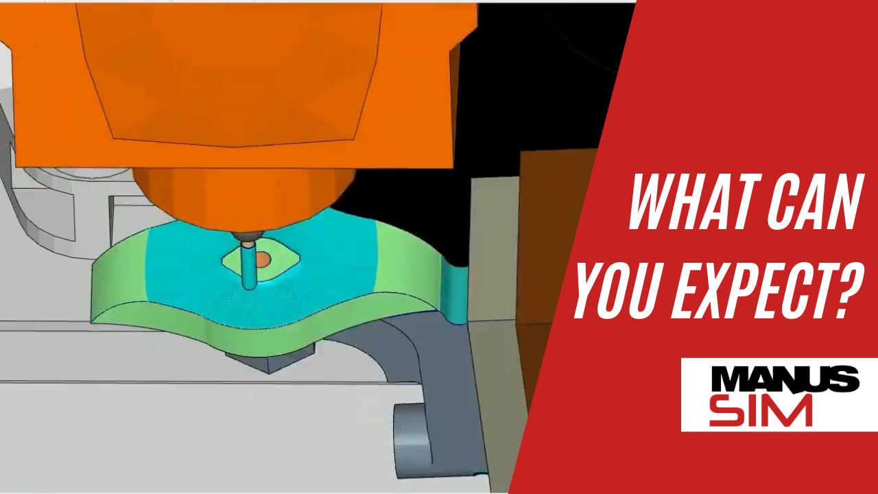 What can you expect from MANUSsim